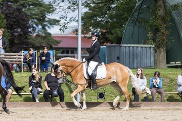 Bild 233 - Pony Akademie Turnier